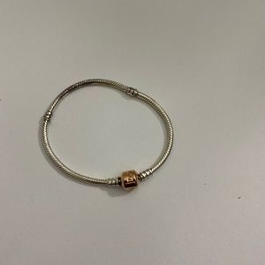 Pandora Charm Bracelet (BRAND NEW)